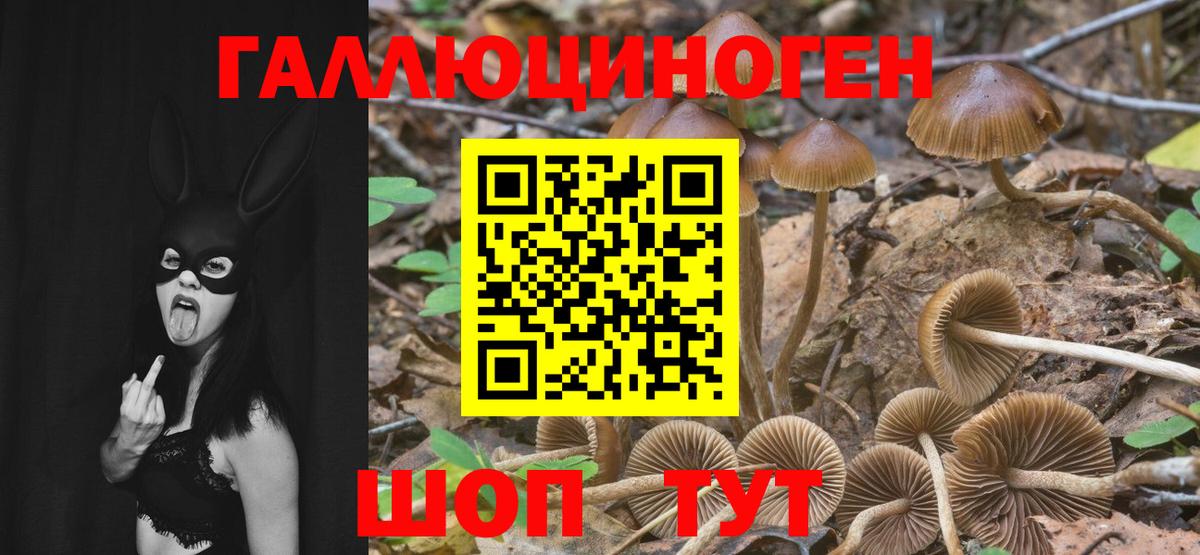Галлюциногенные грибы GOLDEN TEACHER  купить наркоту  Вход с VPN  Югорск  Галлюциногенные грибы GOLDEN TEACHER 