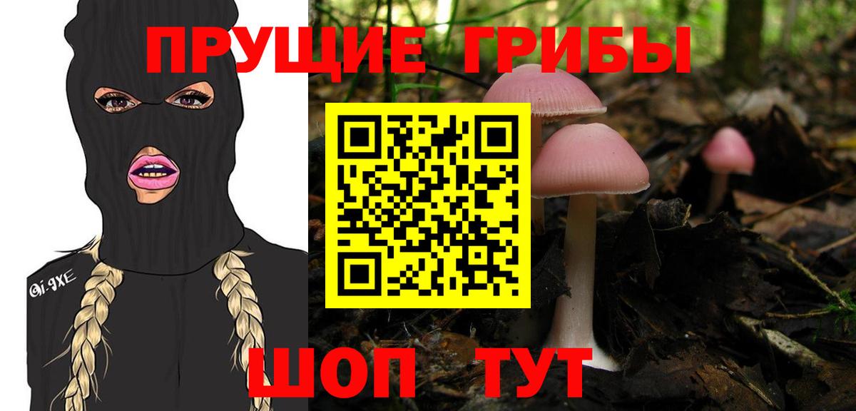 Псилоцибиновые грибы Psilocybe Югорск