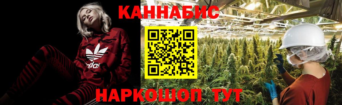 Конопля Amnesia Югорск
